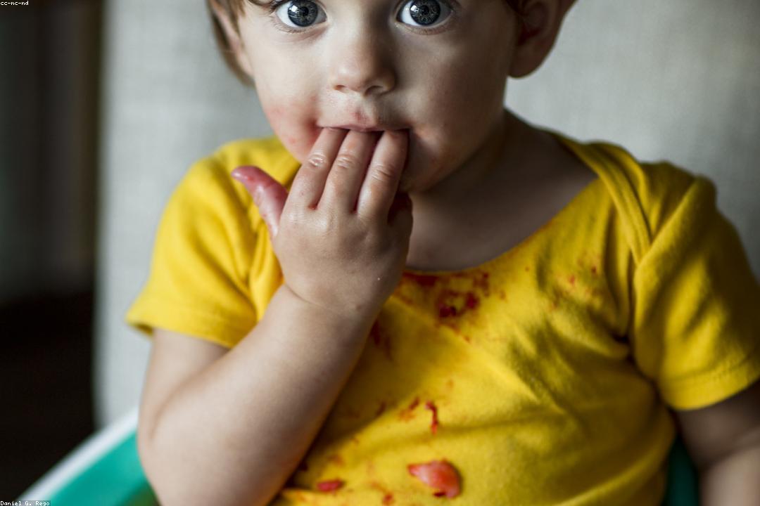 이유식 알레르기 체크 시각적 가이드