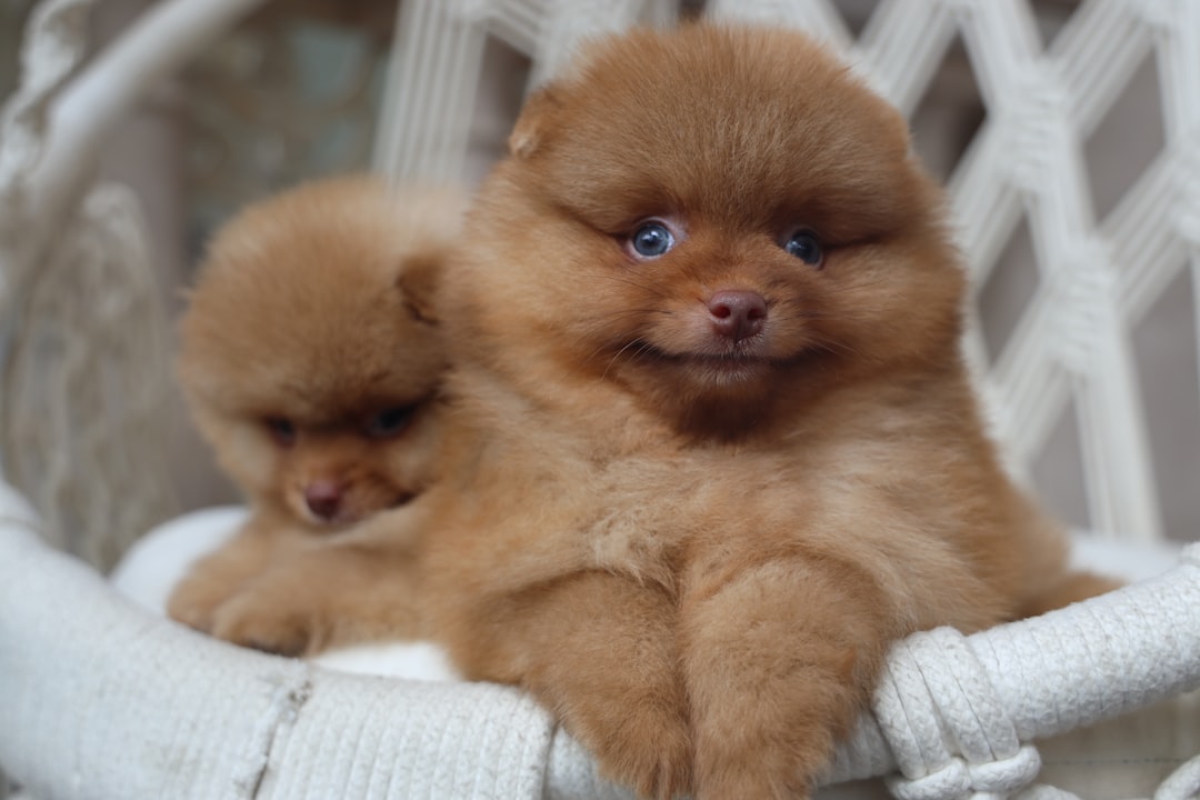 신생아 체크리스트