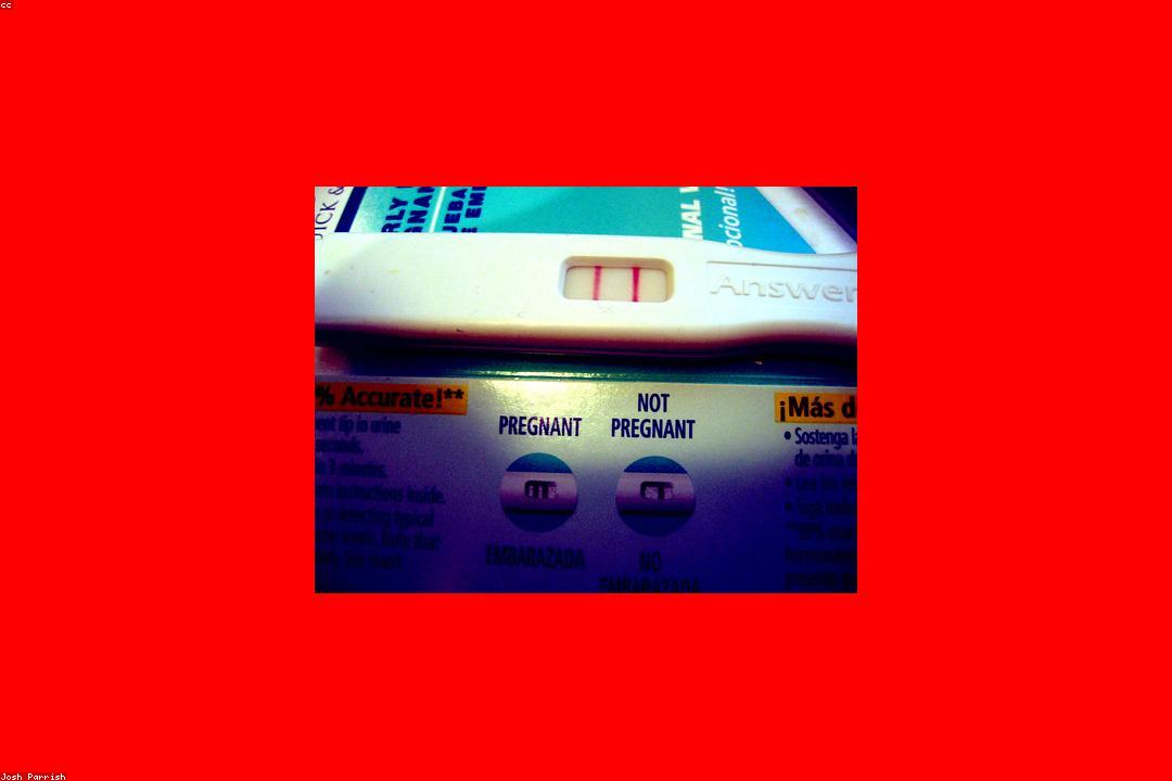 임신 초기 주차별 증상 변화 그래프